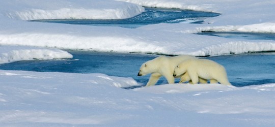 Gå i fotsporene før du forsøker å forandre