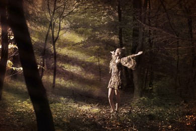 Møte i sommernatten