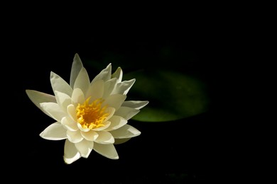 Musikk- og filmbransjen: en moderne Kong Sisyphus