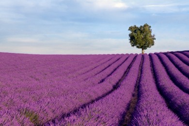 Tilværelsens uutholdelige letthet