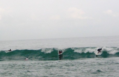 Surfers waiting for the wave