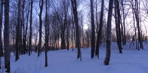 Winter light