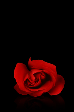 Vent ikke på angeren